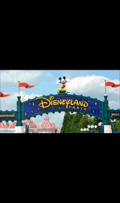 Appartement Vue Cathedrale- Centre Ville Meaux-Gare-Disney Esterno foto